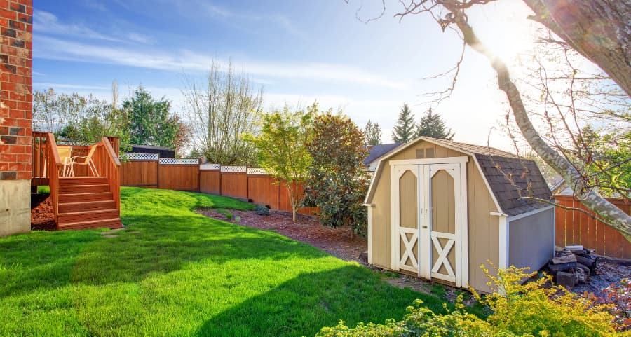 Fenced backyard with storage shed in Fresno